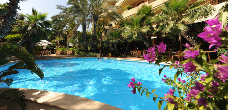 Fortina Spa Resort Sliema Dış mekan fotoğraf The pool at the hotel